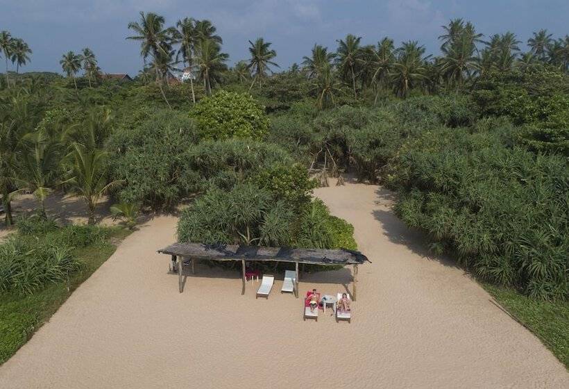 Отель Palm Beach Inn &sea Shells Cabanas
