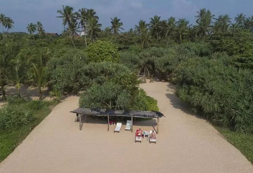 Hotel Palm Beach Inn &sea Shells Cabanas