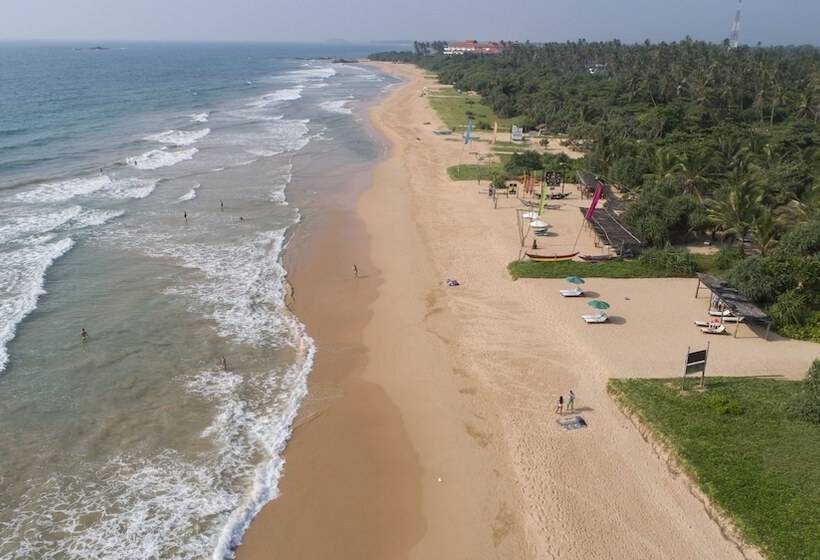 Отель Palm Beach Inn &sea Shells Cabanas