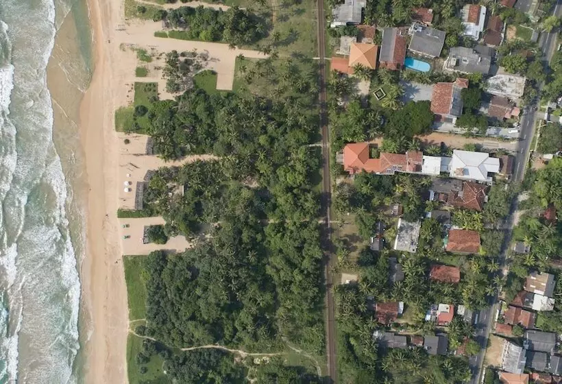 Hotel Palm Beach Inn &sea Shells Cabanas