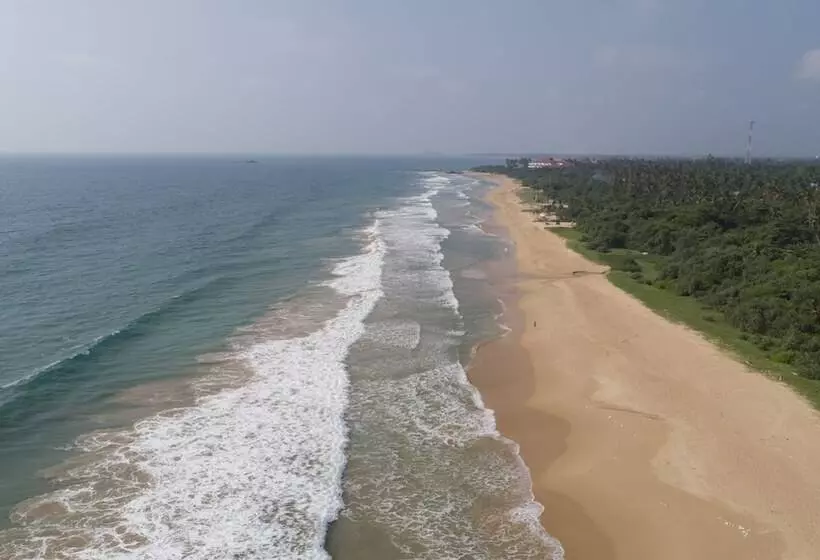 Hotel Palm Beach Inn &sea Shells Cabanas