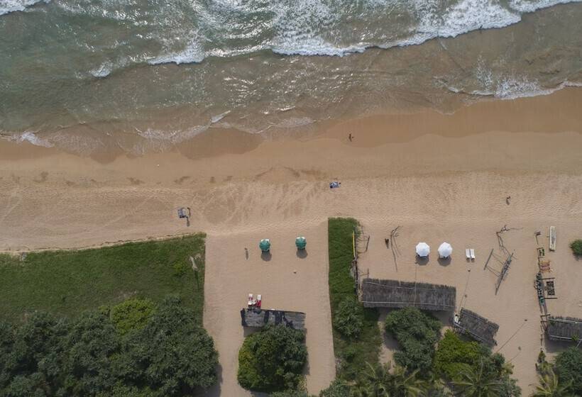 Отель Palm Beach Inn &sea Shells Cabanas