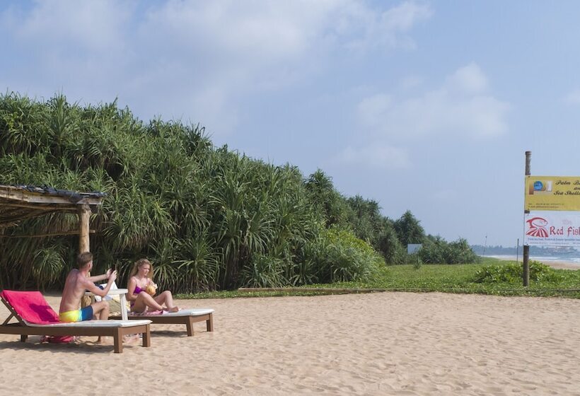 Отель Palm Beach Inn &sea Shells Cabanas