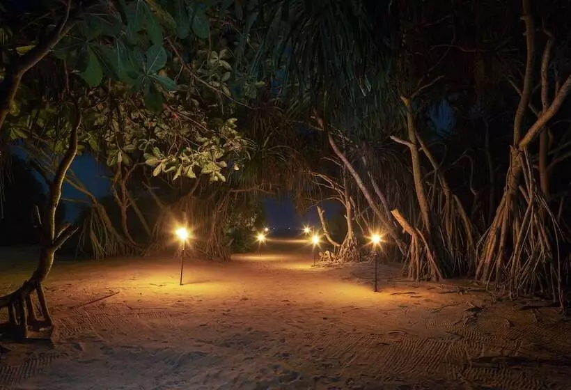 Hotel Palm Beach Inn &sea Shells Cabanas