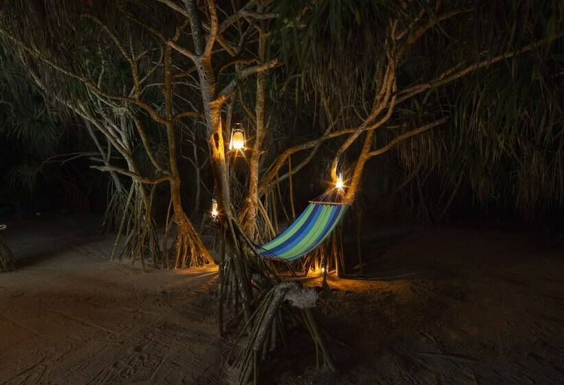 Отель Palm Beach Inn &sea Shells Cabanas