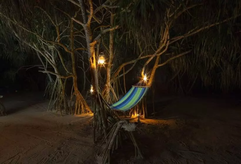 Hotel Palm Beach Inn &sea Shells Cabanas