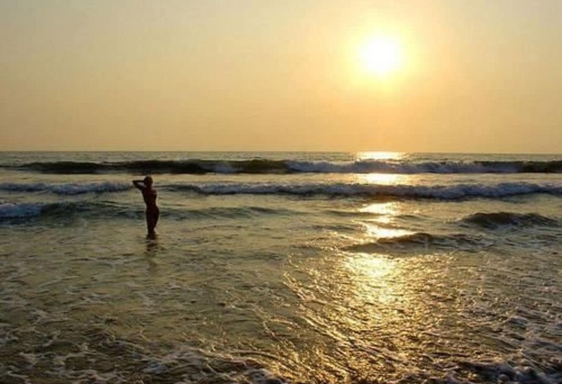 Отель Palm Beach Inn &sea Shells Cabanas