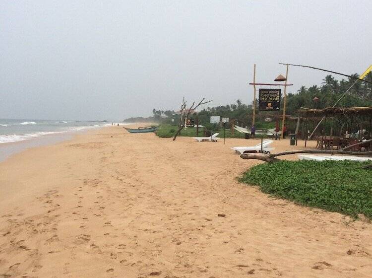 Отель Palm Beach Inn &sea Shells Cabanas