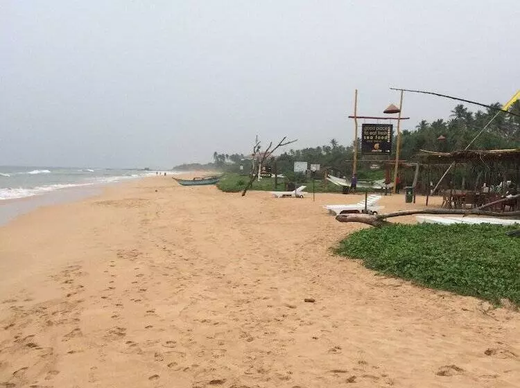 Hotel Palm Beach Inn &sea Shells Cabanas