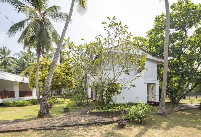 Отель Palm Beach Inn &sea Shells Cabanas