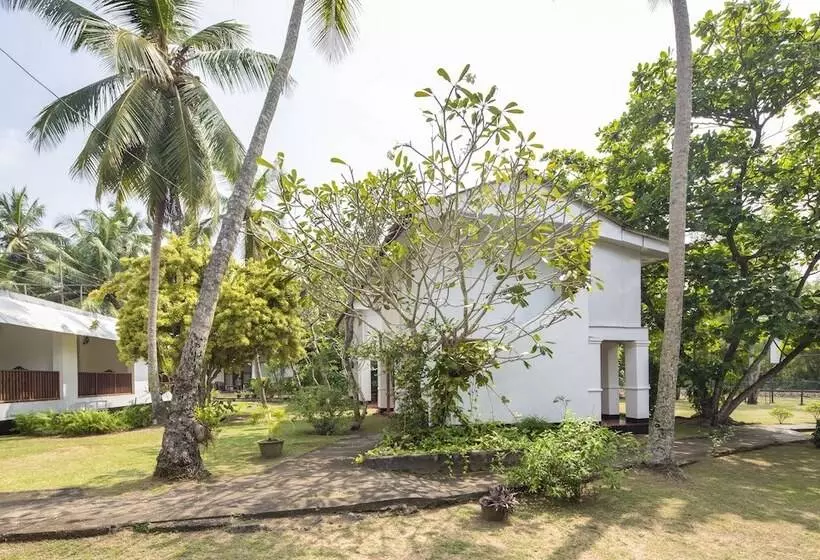 Hotel Palm Beach Inn &sea Shells Cabanas