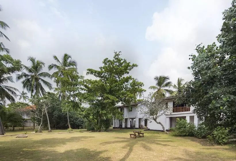 Hotel Palm Beach Inn &sea Shells Cabanas