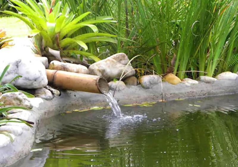 בית מלון כפרי Pousada Jacarandá