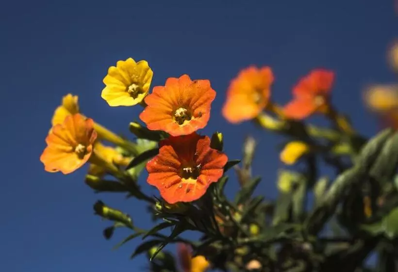 فندق Sol Y Luna Relais & Chateaux