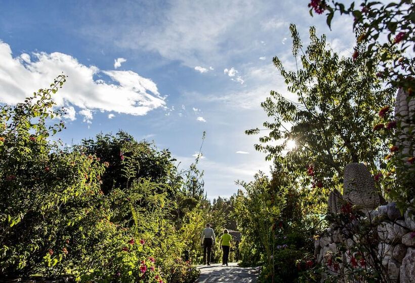 ホテル Sol Y Luna Relais & Chateaux