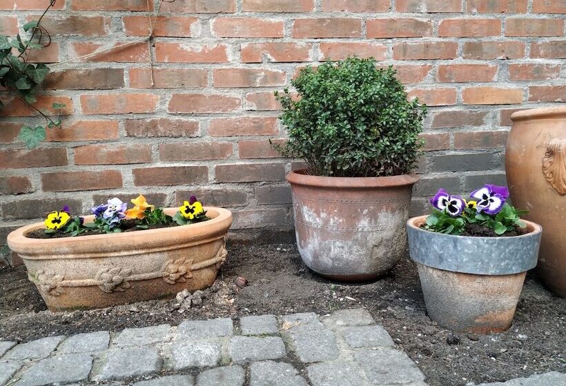 فندق Stare Miasto Old Town