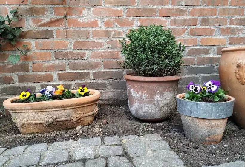 Hotelli Stare Miasto Old Town