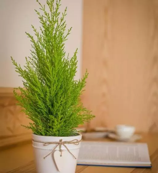 호텔 Willa Góralsko Riwiera