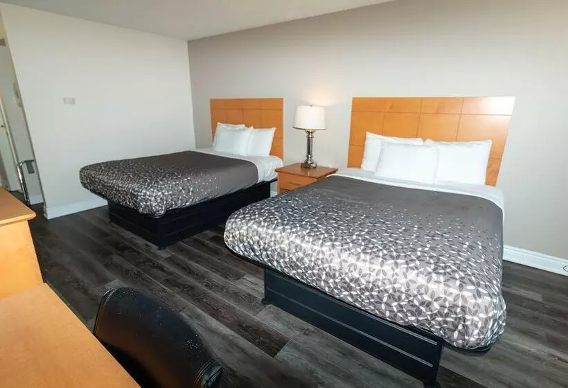 מוטל Borden Inn And Suites