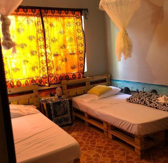 The Greenhouse Hostel Arusha Tanzania