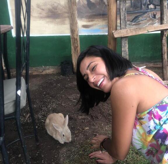 The Greenhouse Hostel Arusha Tanzania