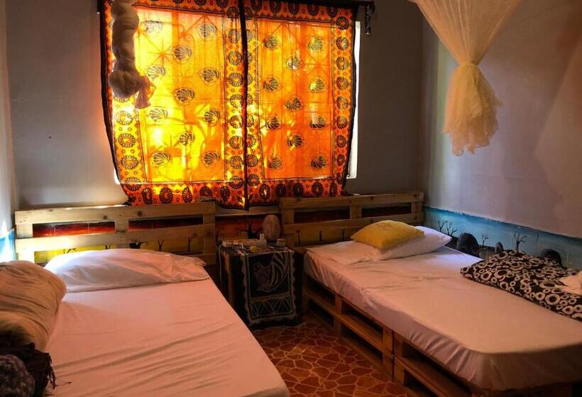 The Greenhouse Hostel Arusha Tanzania