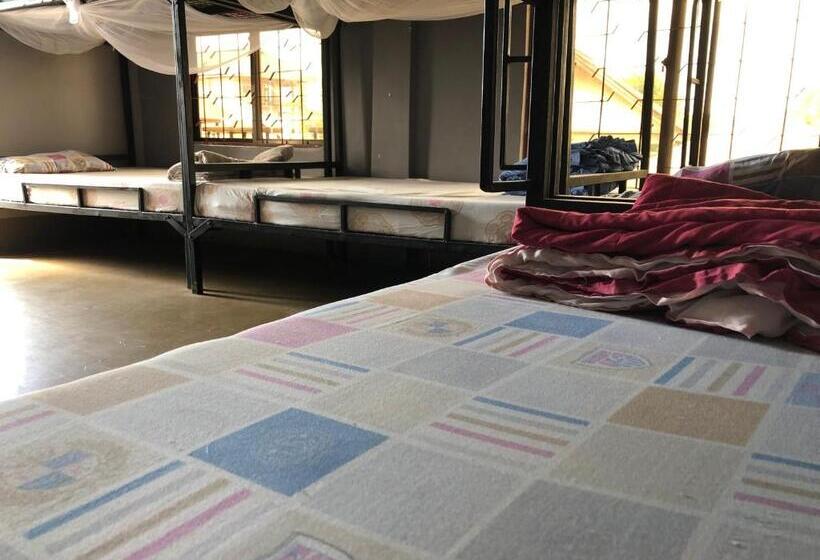 The Greenhouse Hostel Arusha Tanzania