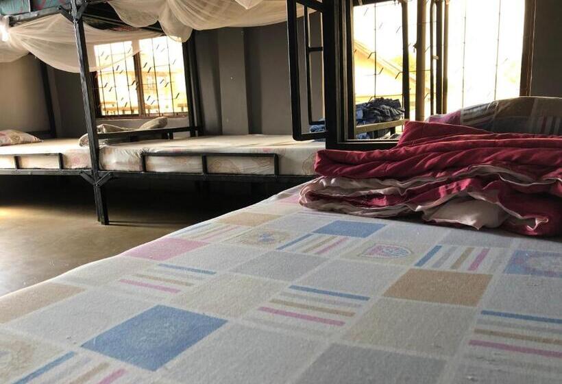 The Greenhouse Hostel Arusha Tanzania