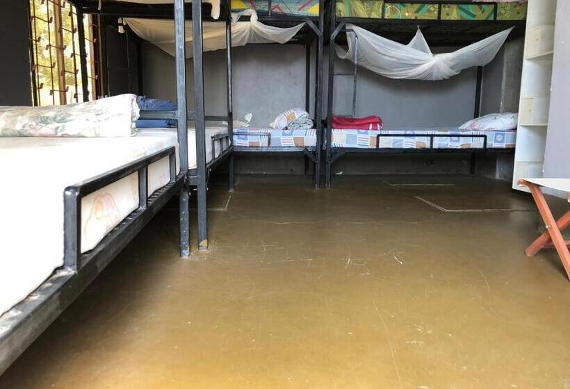 The Greenhouse Hostel Arusha Tanzania