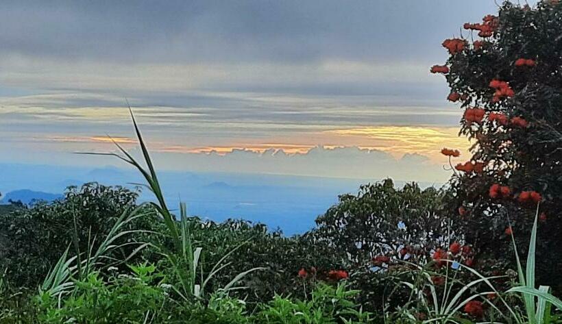 ペンション Amarasinghe Guest House