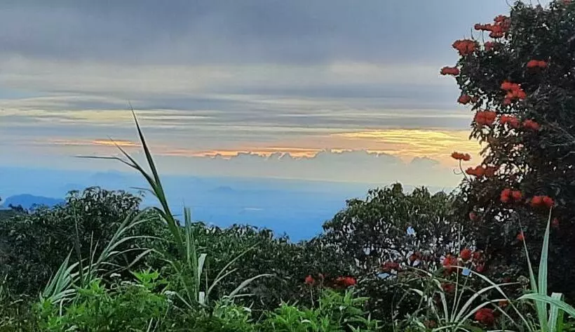 Majatalo Amarasinghe Guest House