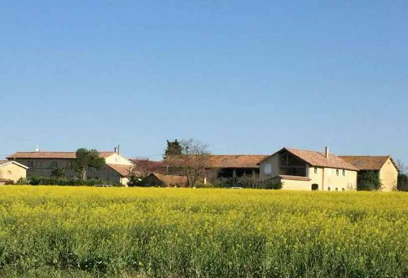 ペンション Ferme St Pierre 2 Suites Avec Piscine, Clim, Repas, Cheminée Ou Baignoire Spa