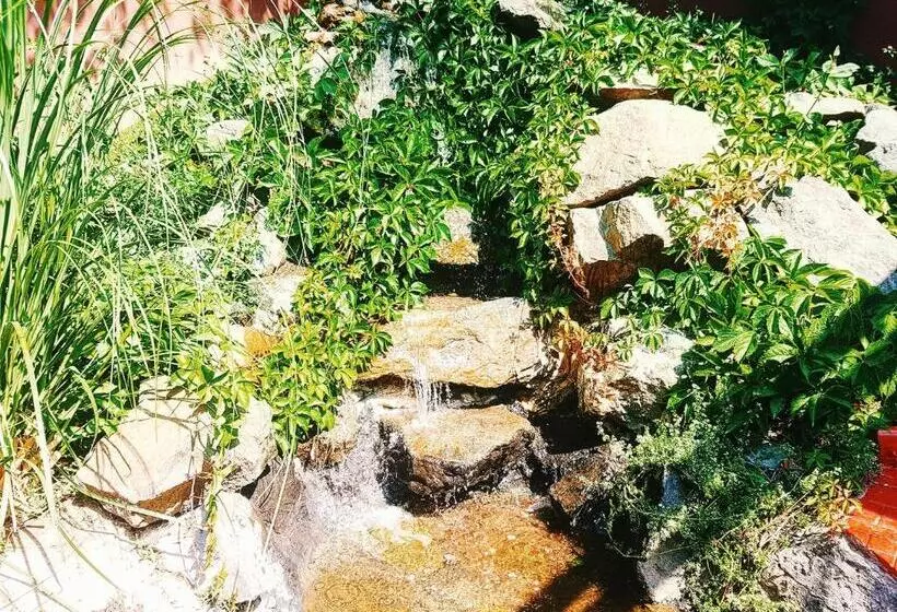 ペンション Vila Davi
