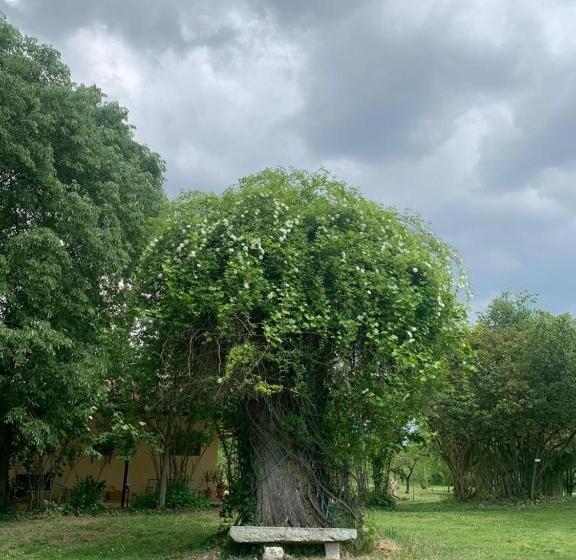 Agriturismo Corte San Girolamo