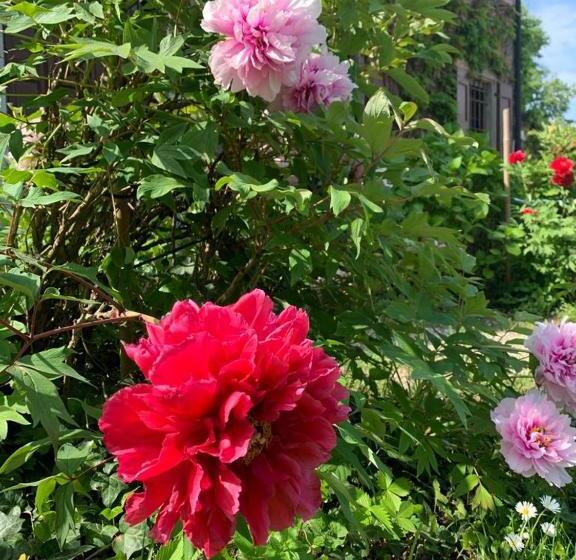 Agriturismo Corte San Girolamo