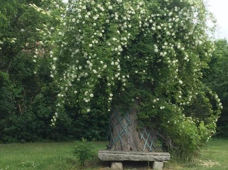 Agriturismo Corte San Girolamo