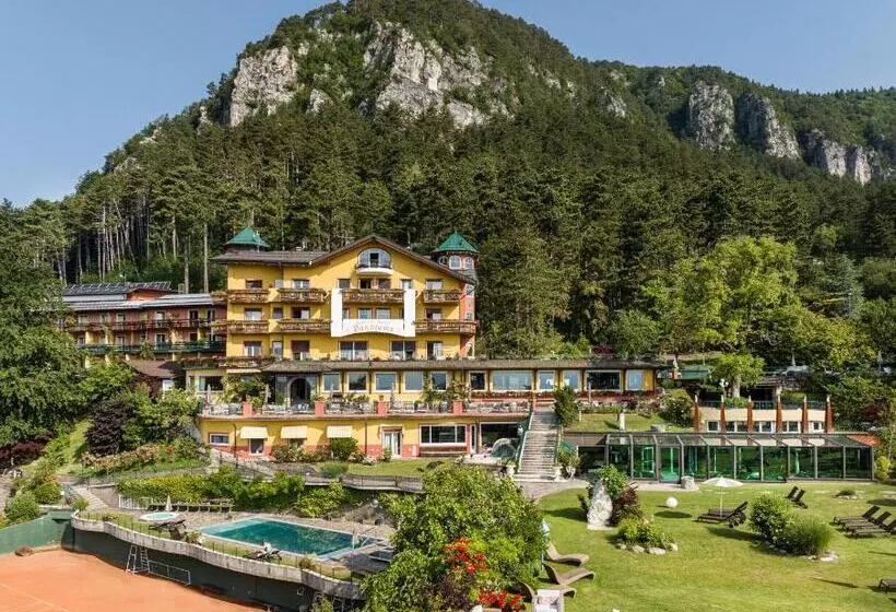 Alp Wellness Sport Hotel Panorama