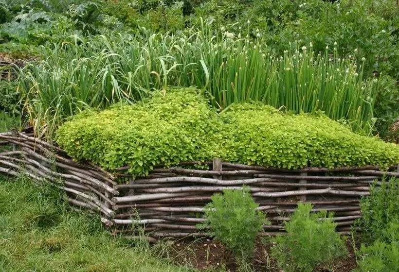 Alp Wellness Sport Hotel Panorama