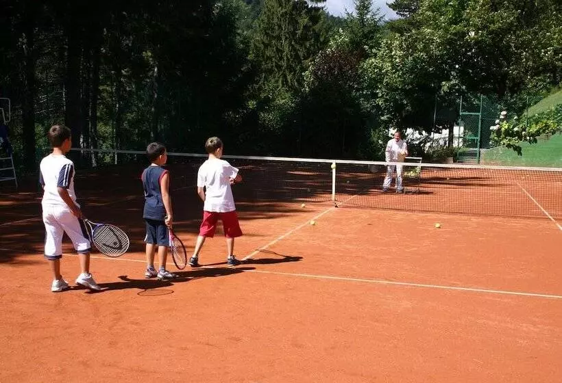 Alp Wellness Sport Hotel Panorama