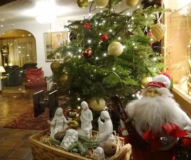 هتل Christiania Gstaad