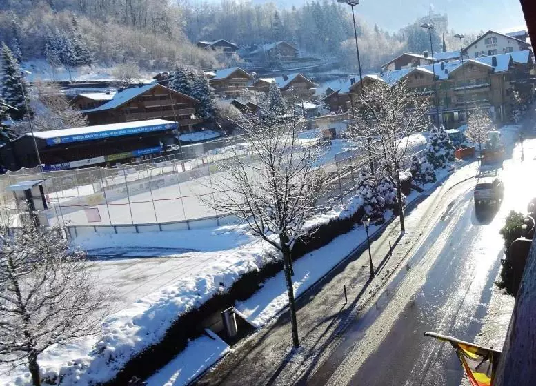 هتل Christiania Gstaad