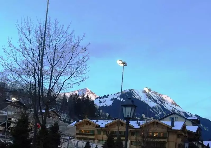 هتل Christiania Gstaad