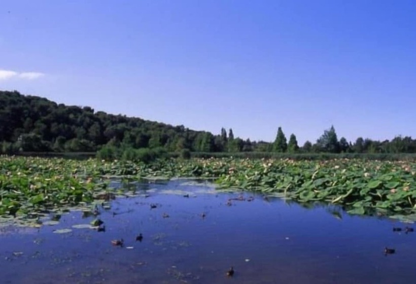 호텔 Belvédère Cannes Mougins