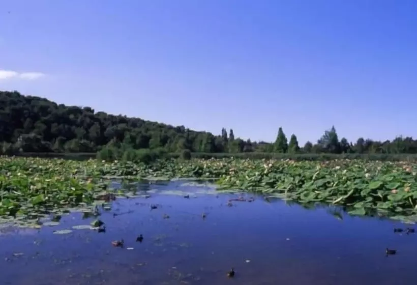 فندق Belvédère Cannes Mougins