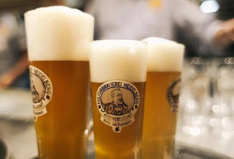 酒店 Kulturbrauerei Heidelberg