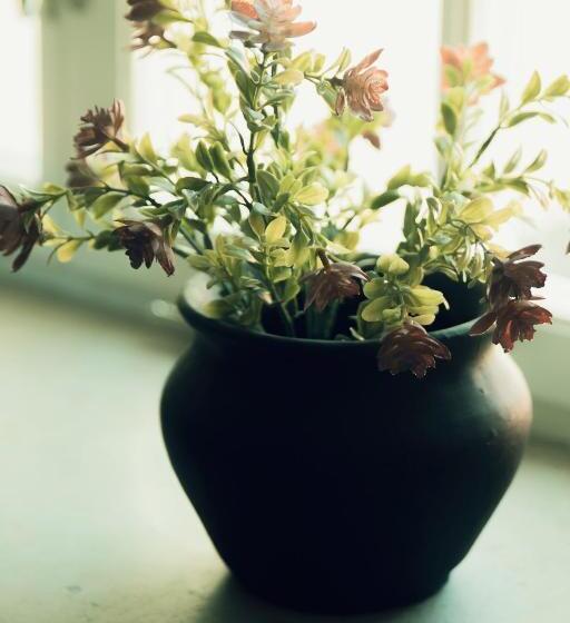 호텔 L Visby Bors Sekel Sviter