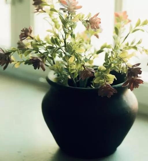 호텔 L Visby Bors Sekel Sviter