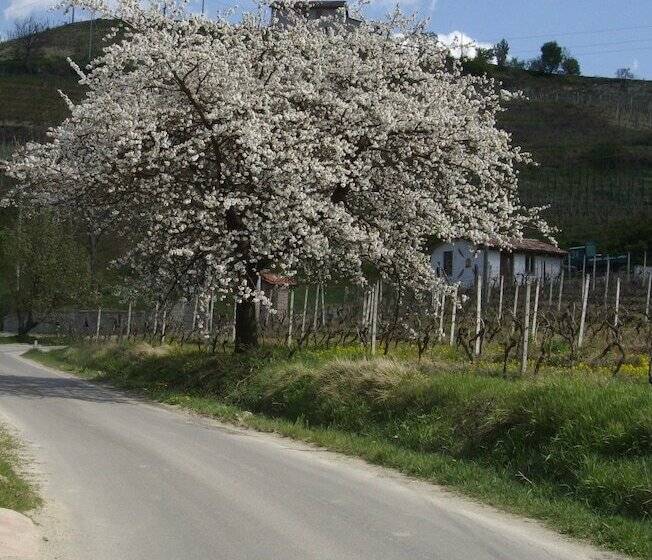 فندق La Martinella