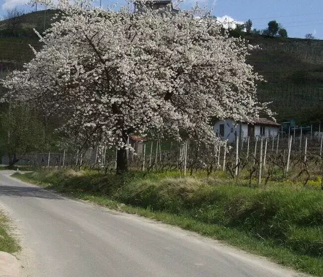 호텔 La Martinella