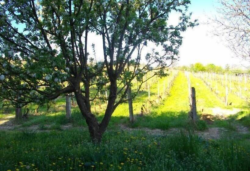 فندق La Martinella